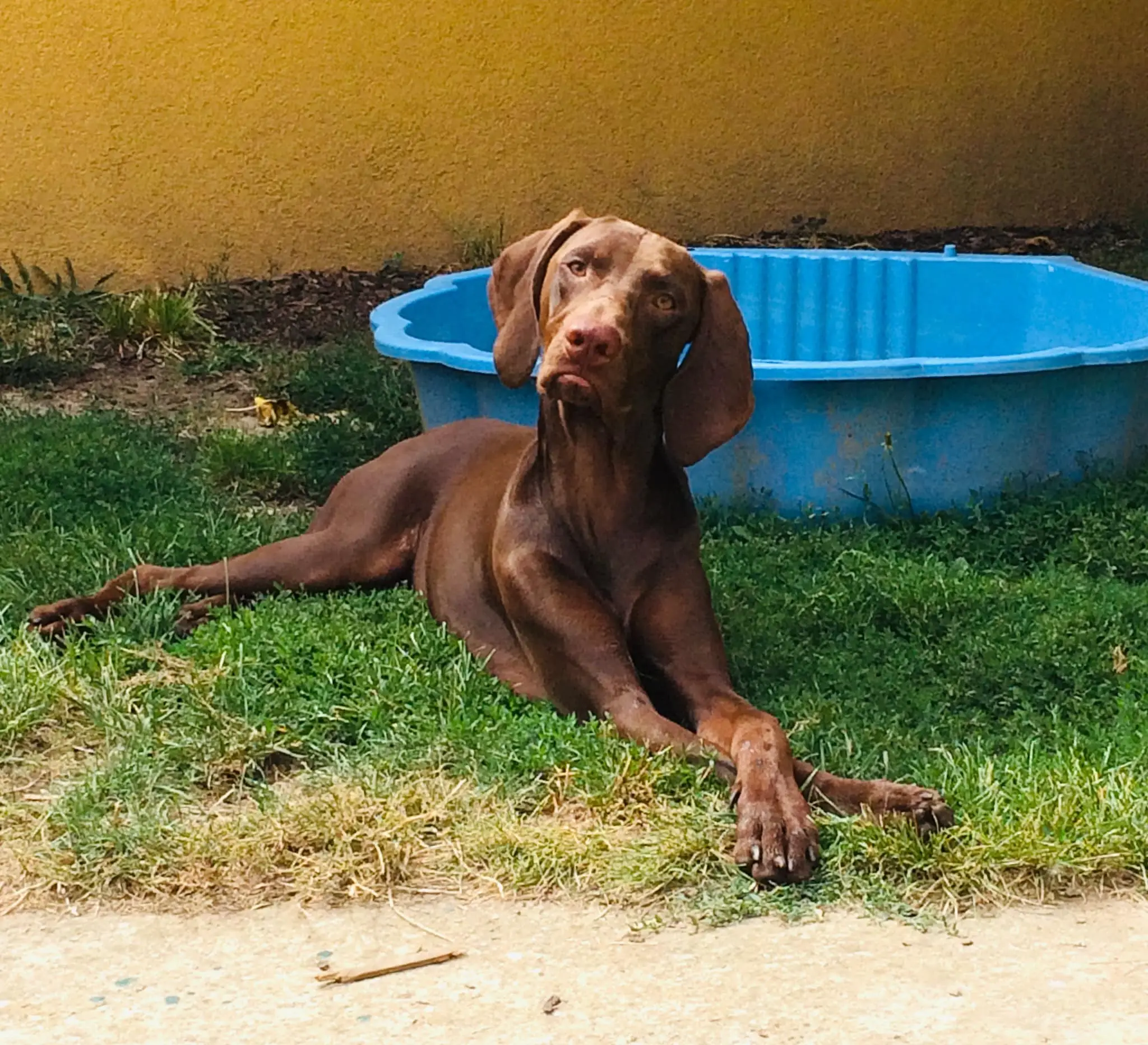 Kleine und große Spuernasen