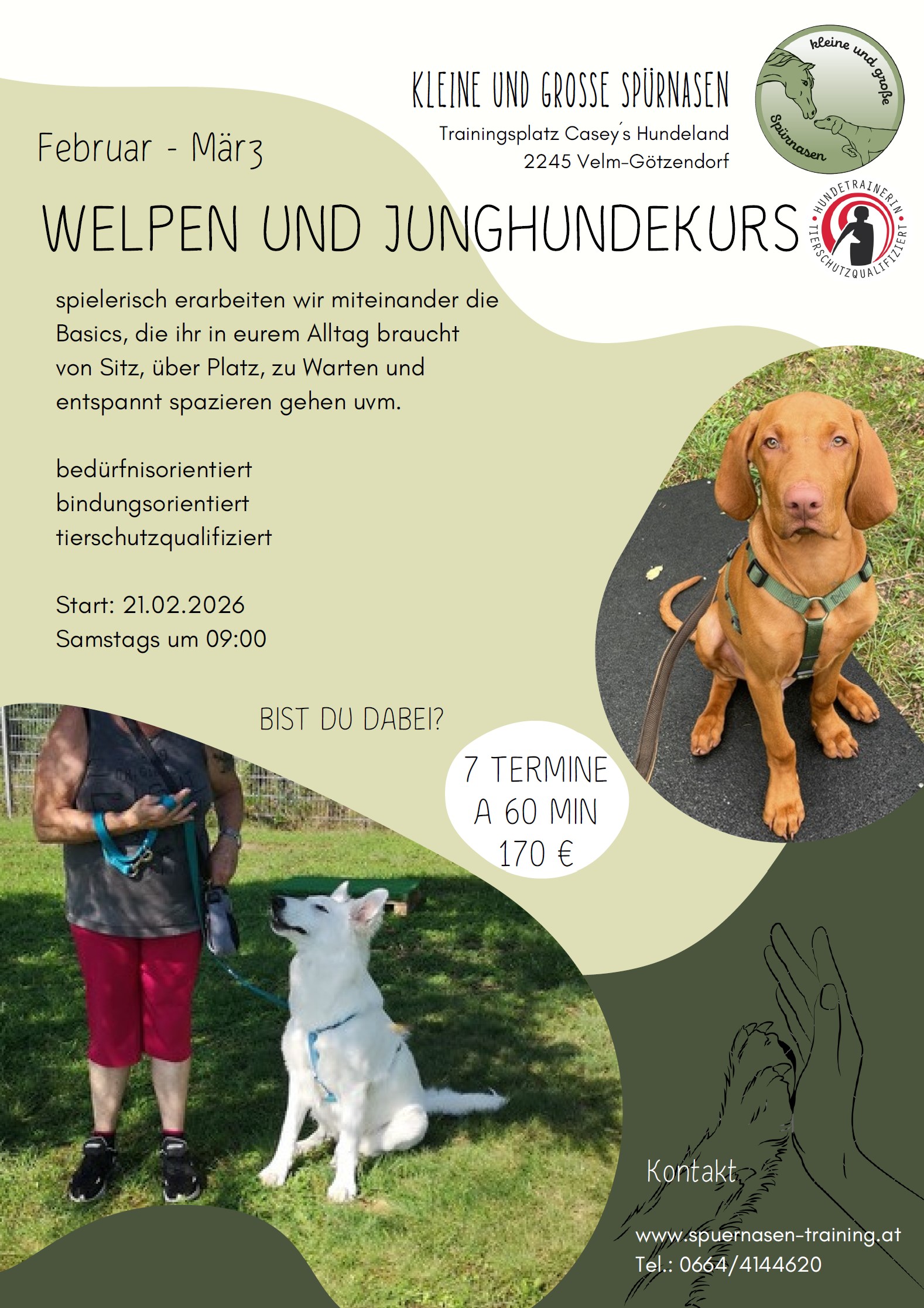 WELPEN UND JUNGHUNDEKURS
