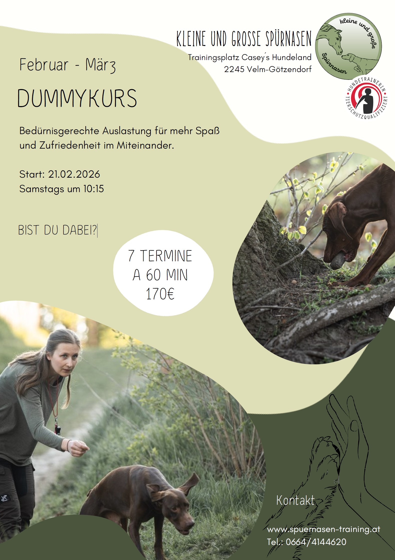 DUMMYKURS